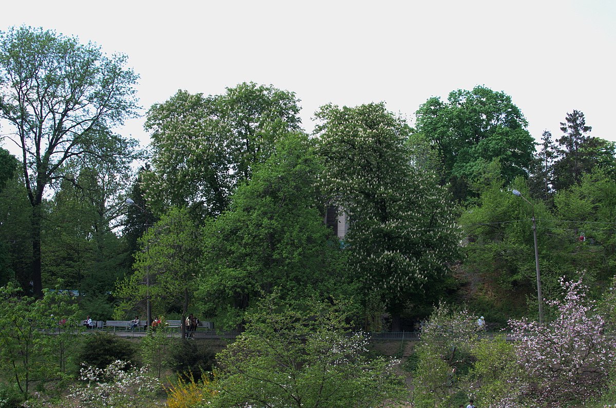 Ботанический сад Фомина