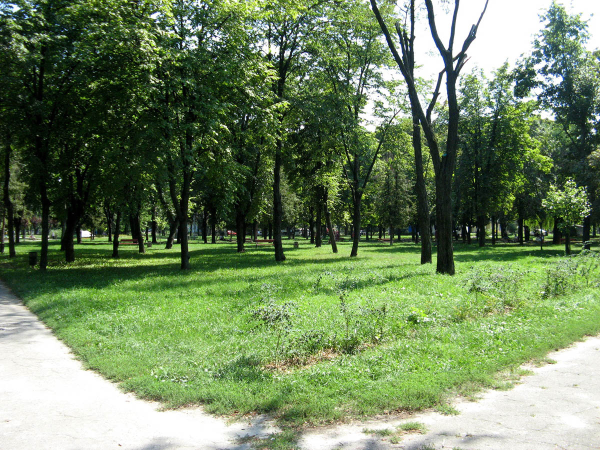 Парк имени генерала Потапова