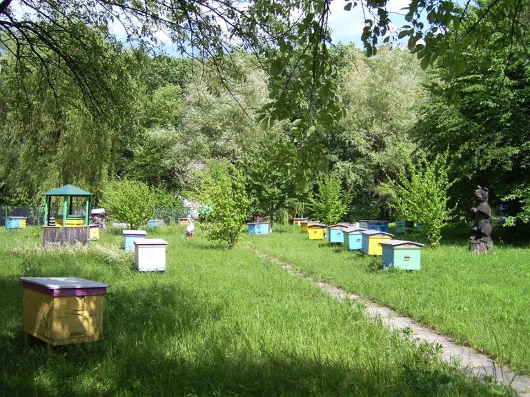 Национальный музей пчеловодства Украины